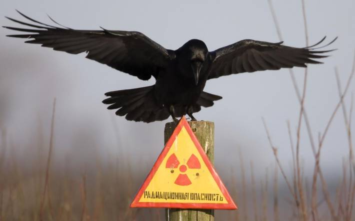 "Росатом" может построить могильник для радиоактивных отходов в Поморье